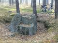 Fot. 4. Diabelski Kamień koło Sierakowa w województwie śląskim (fot. J. Speil)